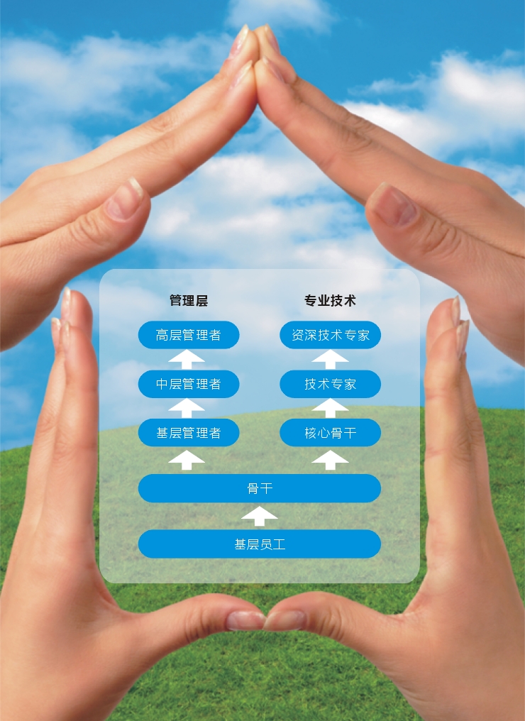 學(xué)習(xí)和發(fā)展規(guī)劃